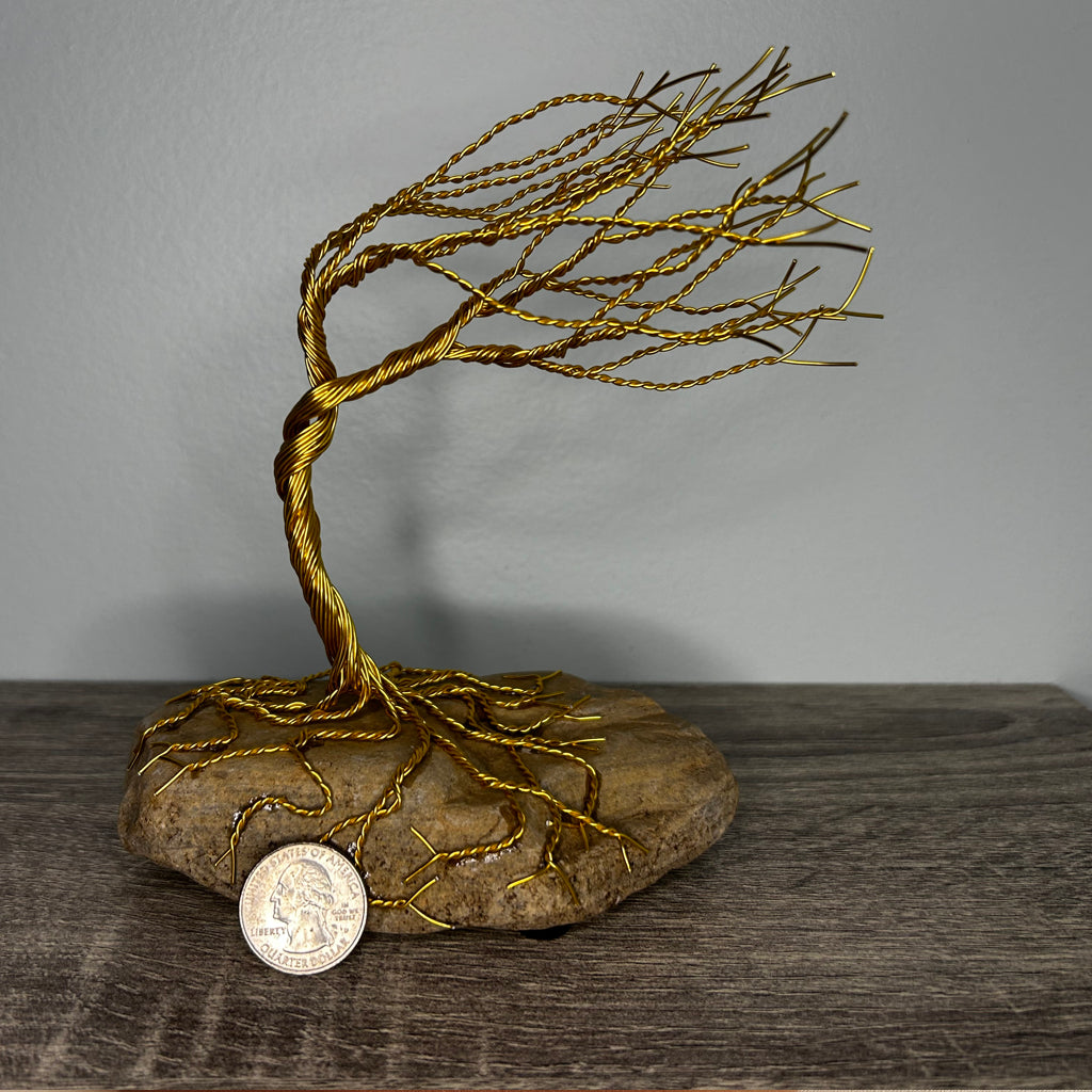 Wind Blown Tree - Gold on Rock