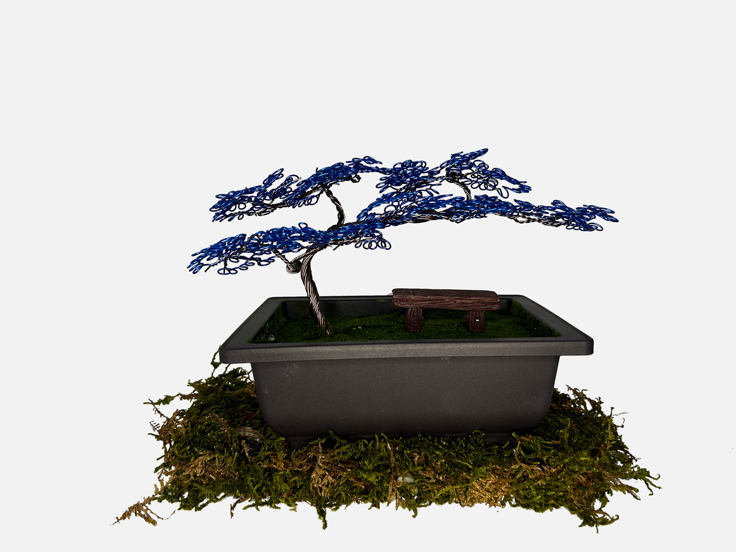 Canopy Bonsai With Bench