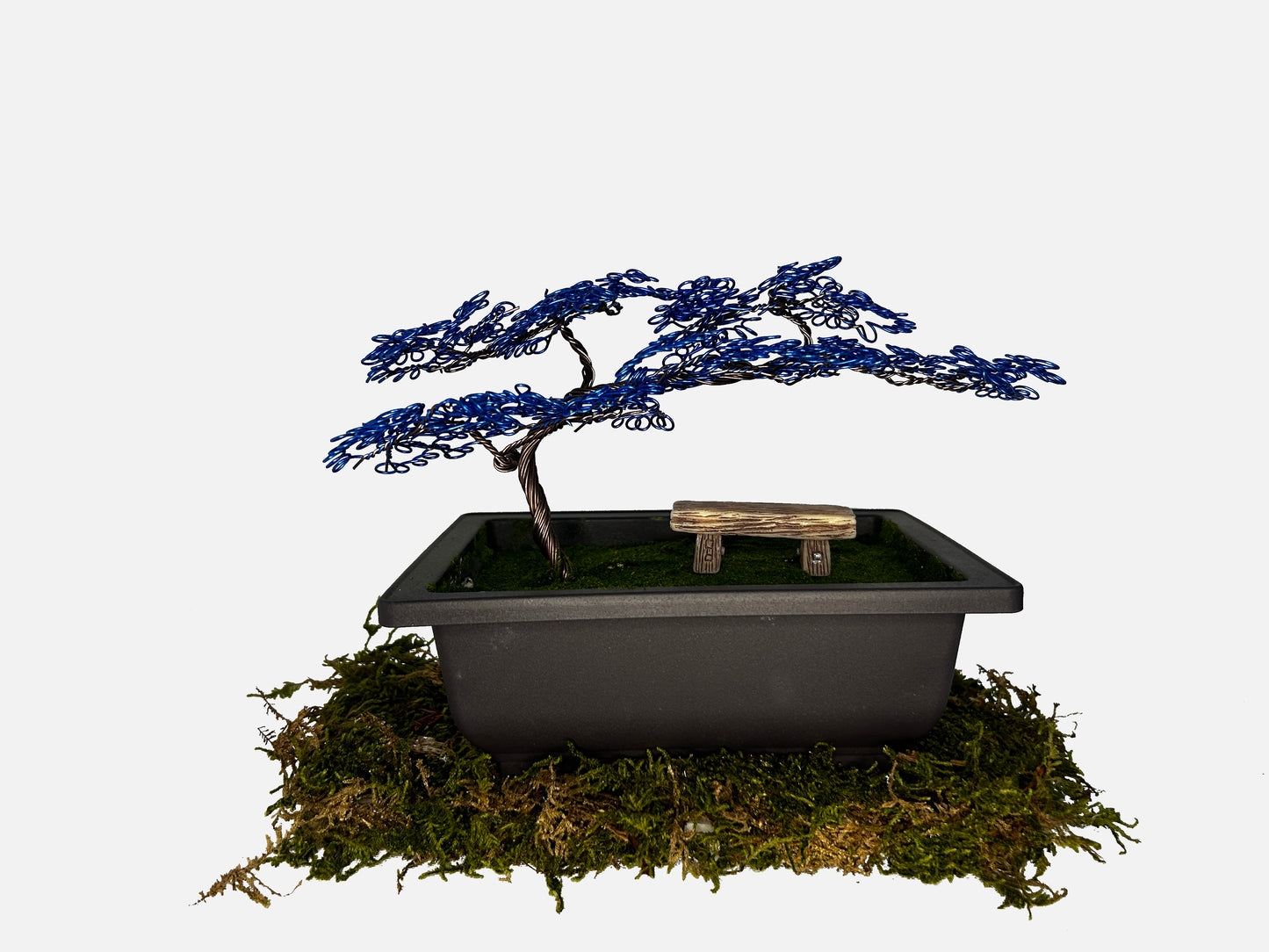 Canopy Bonsai With Bench