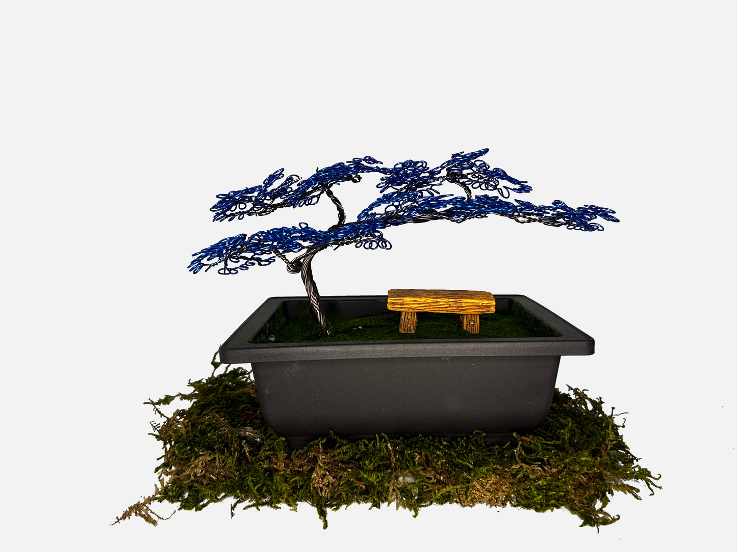 Canopy Bonsai With Bench