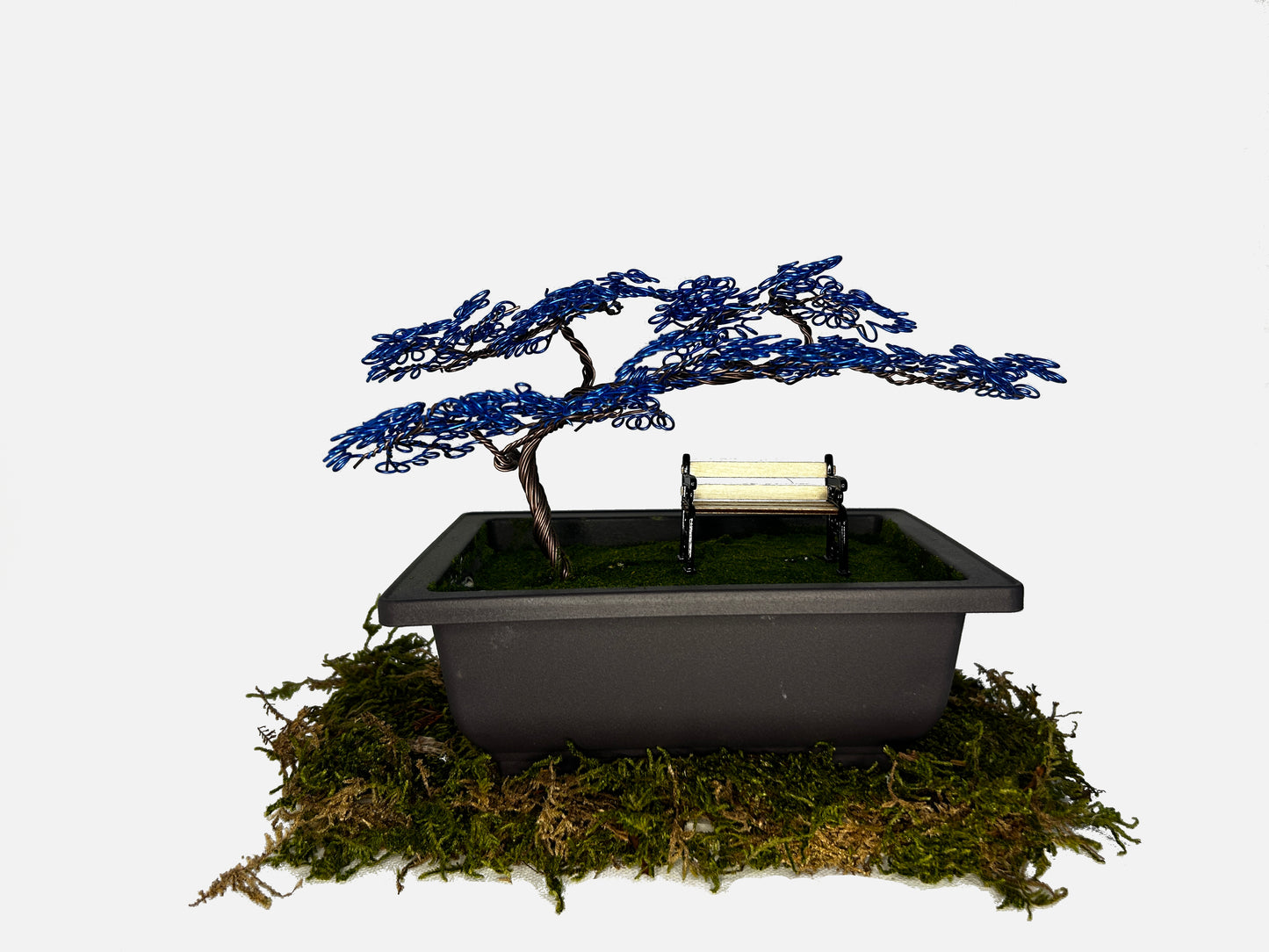 Canopy Bonsai With Bench