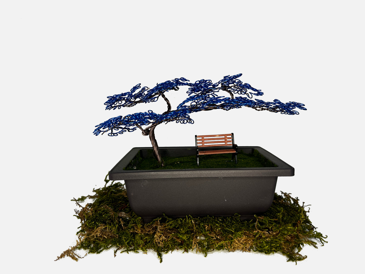 Canopy Bonsai With Bench
