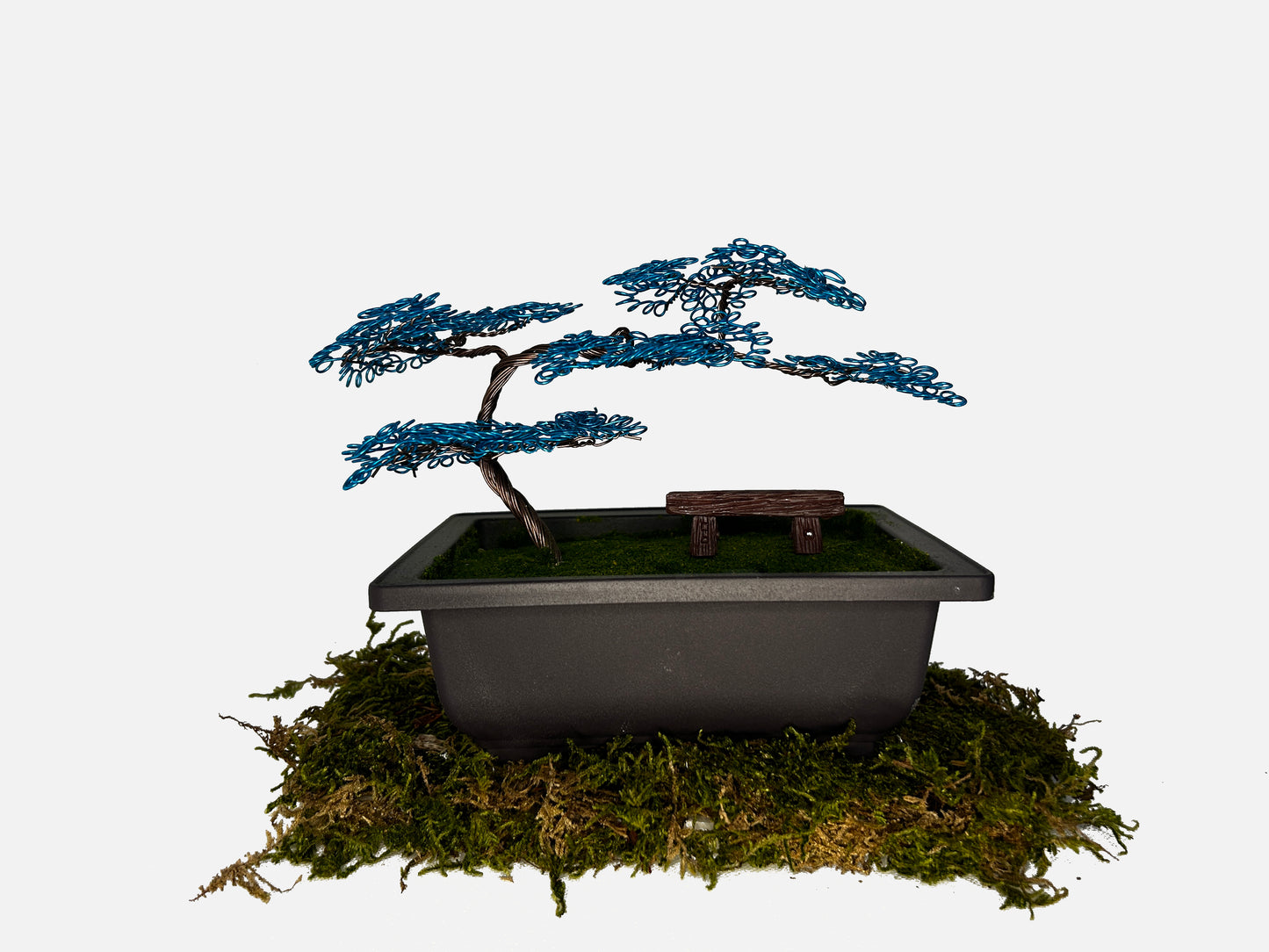 Canopy Bonsai With Bench
