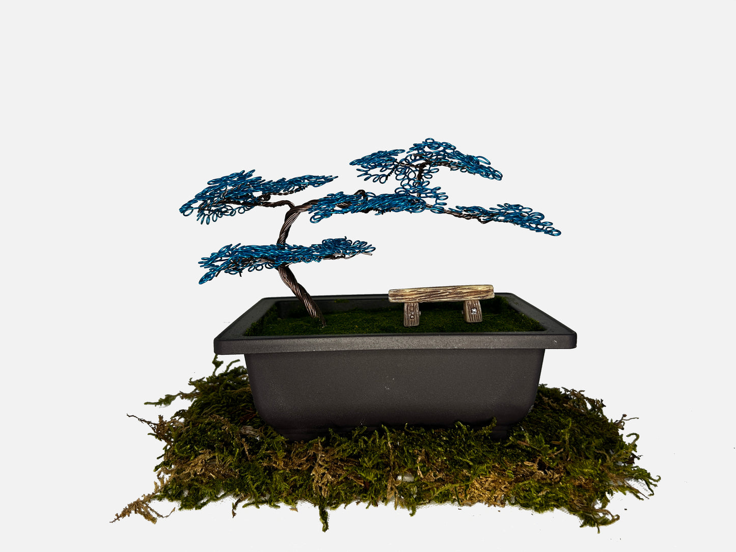 Canopy Bonsai With Bench