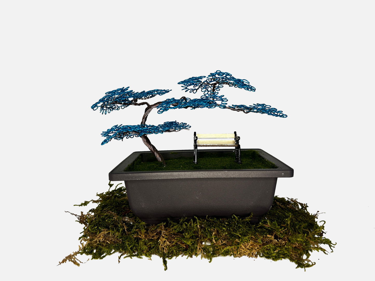 Canopy Bonsai With Bench