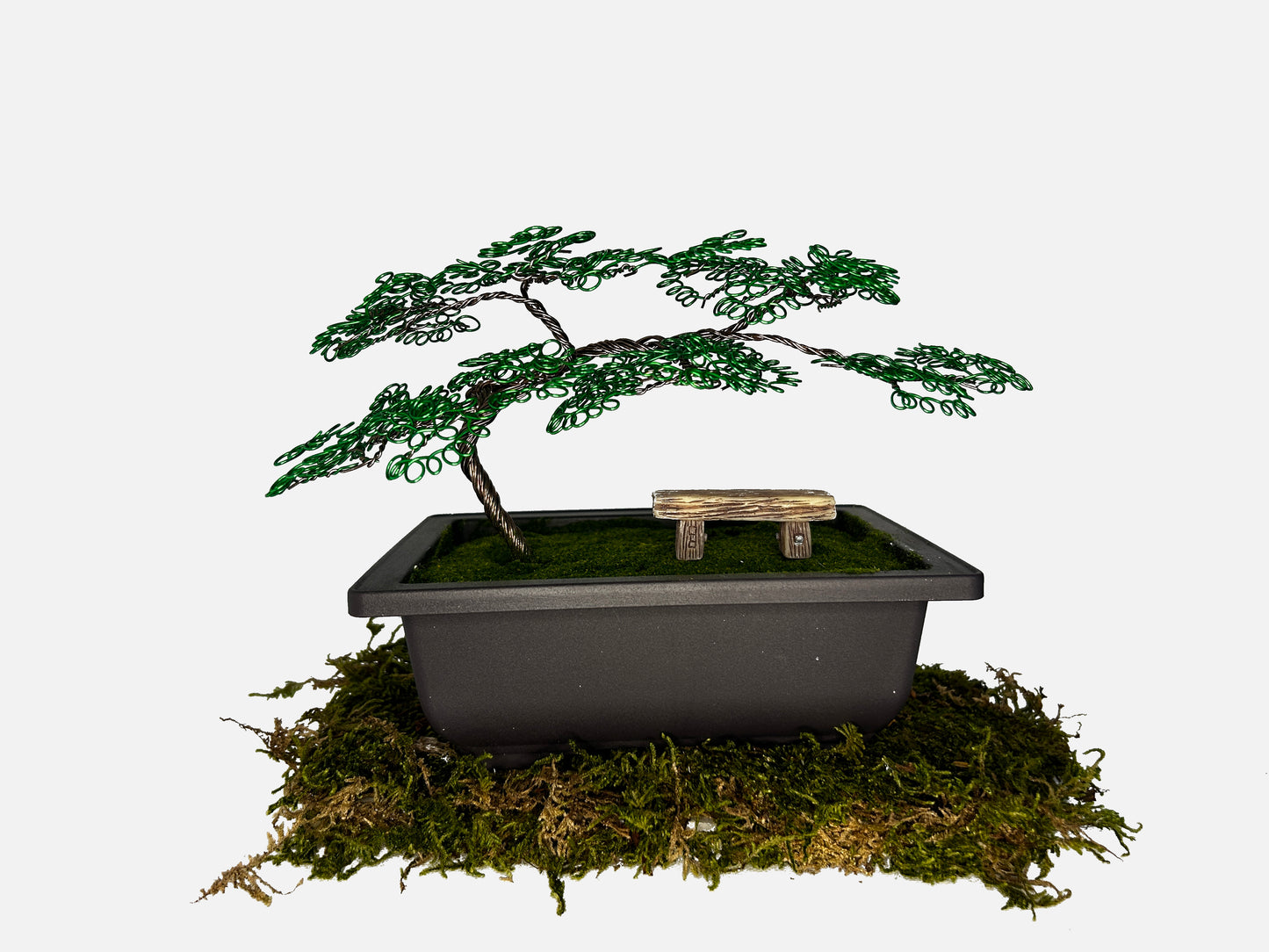 Canopy Bonsai With Bench