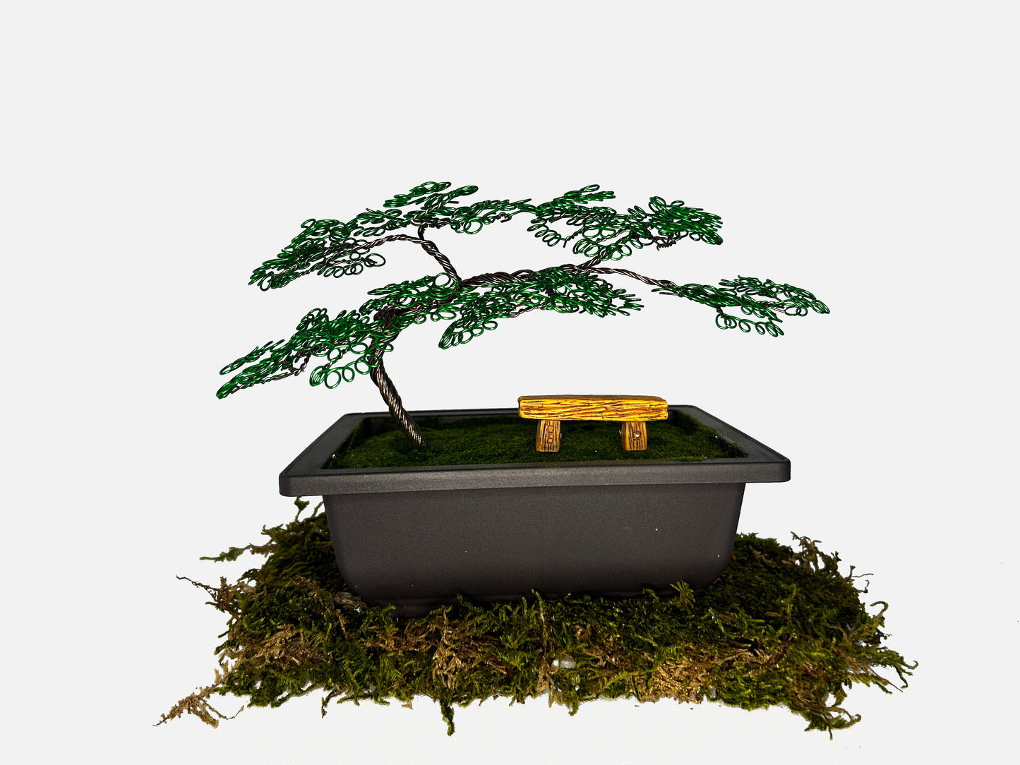 Canopy Bonsai With Bench