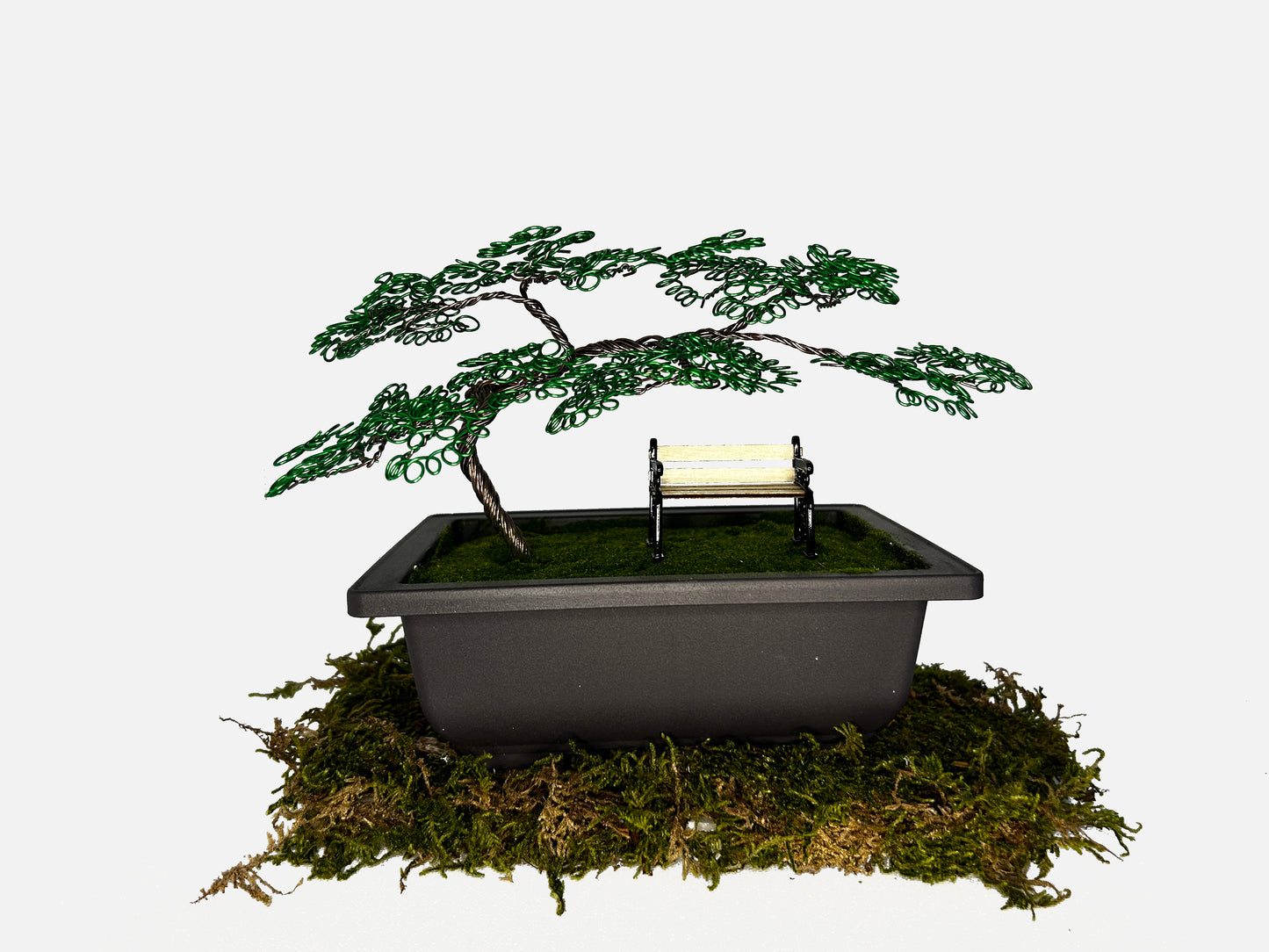 Canopy Bonsai With Bench