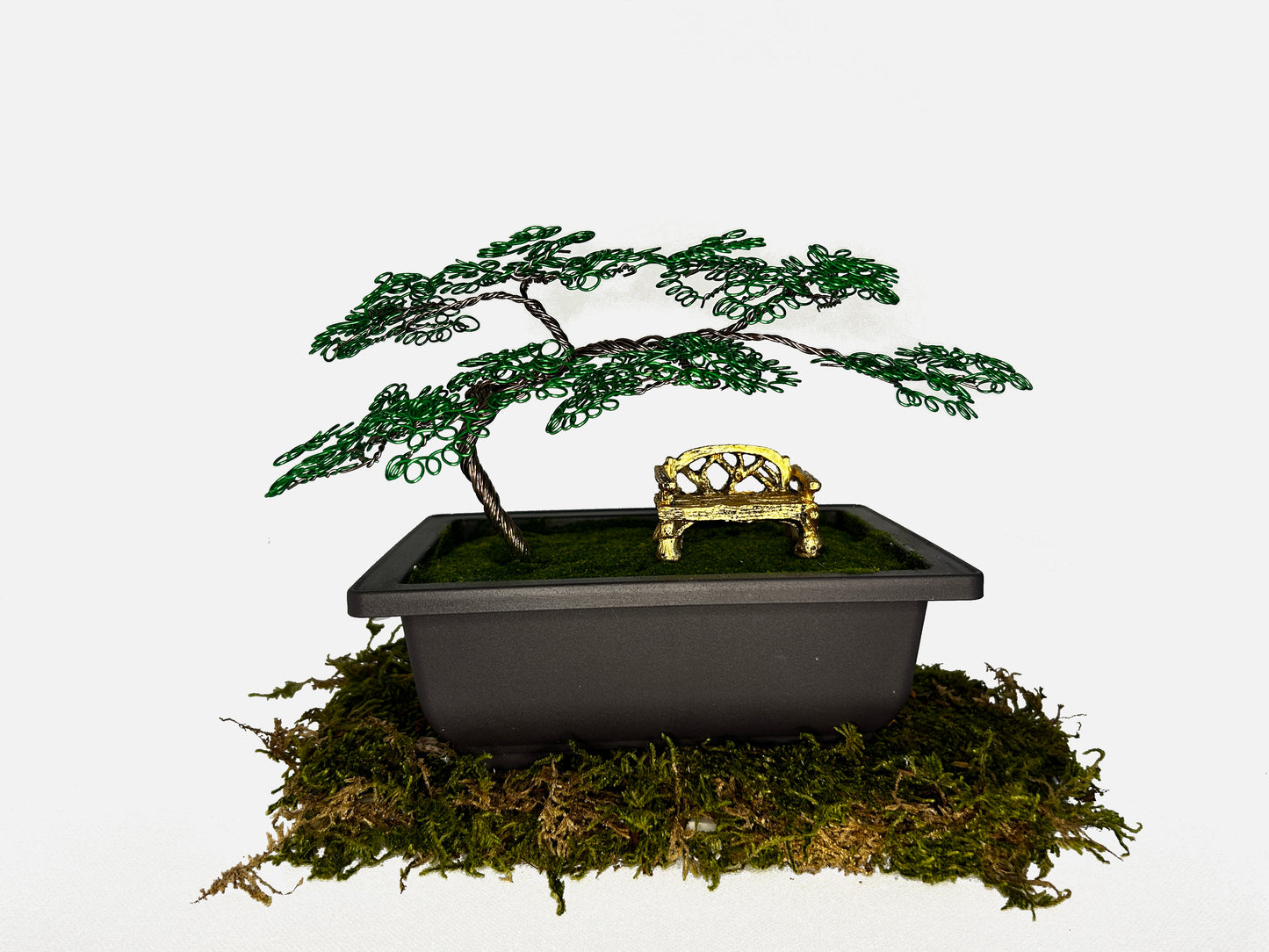 Canopy Bonsai With Bench