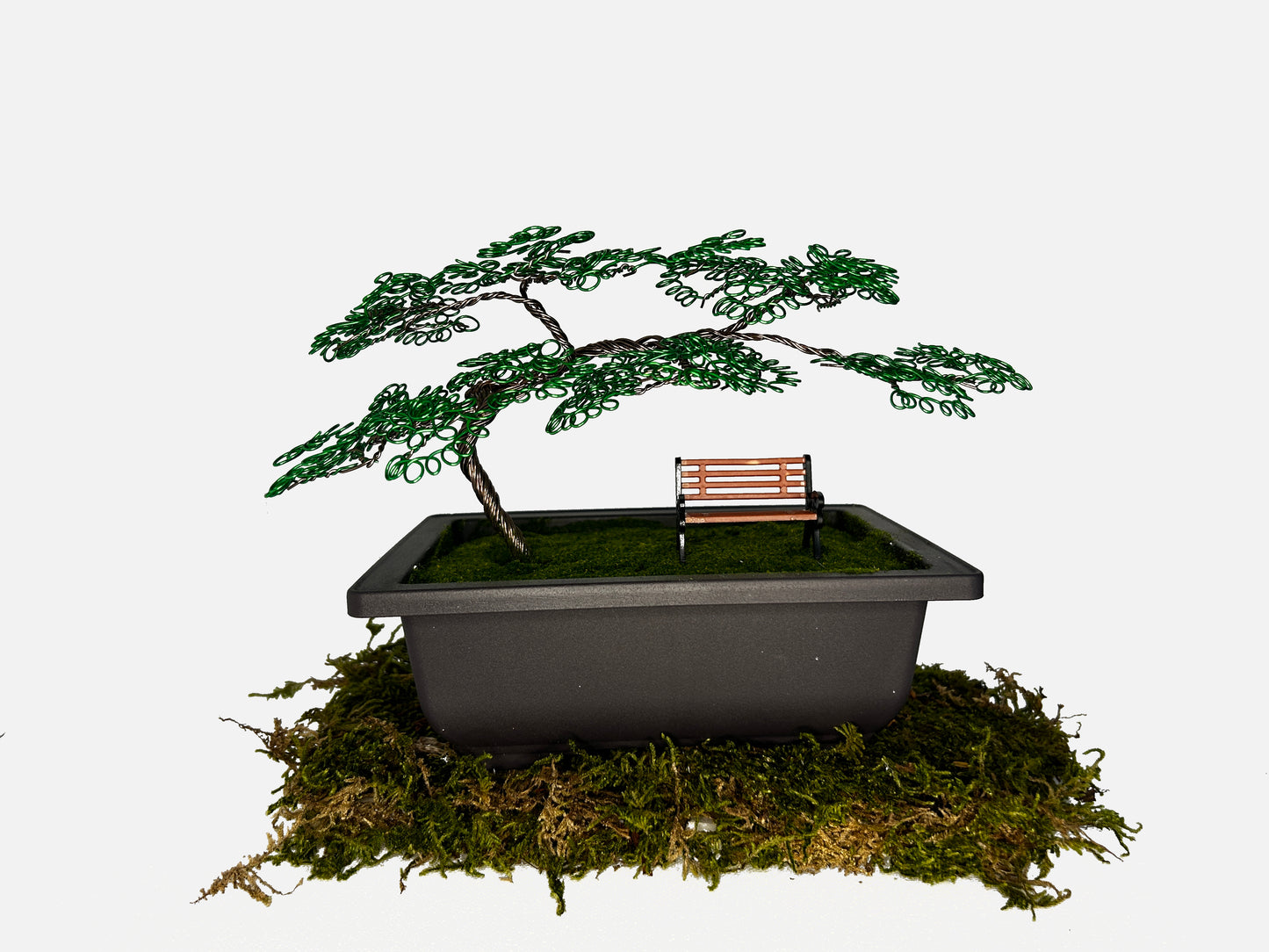 Canopy Bonsai With Bench