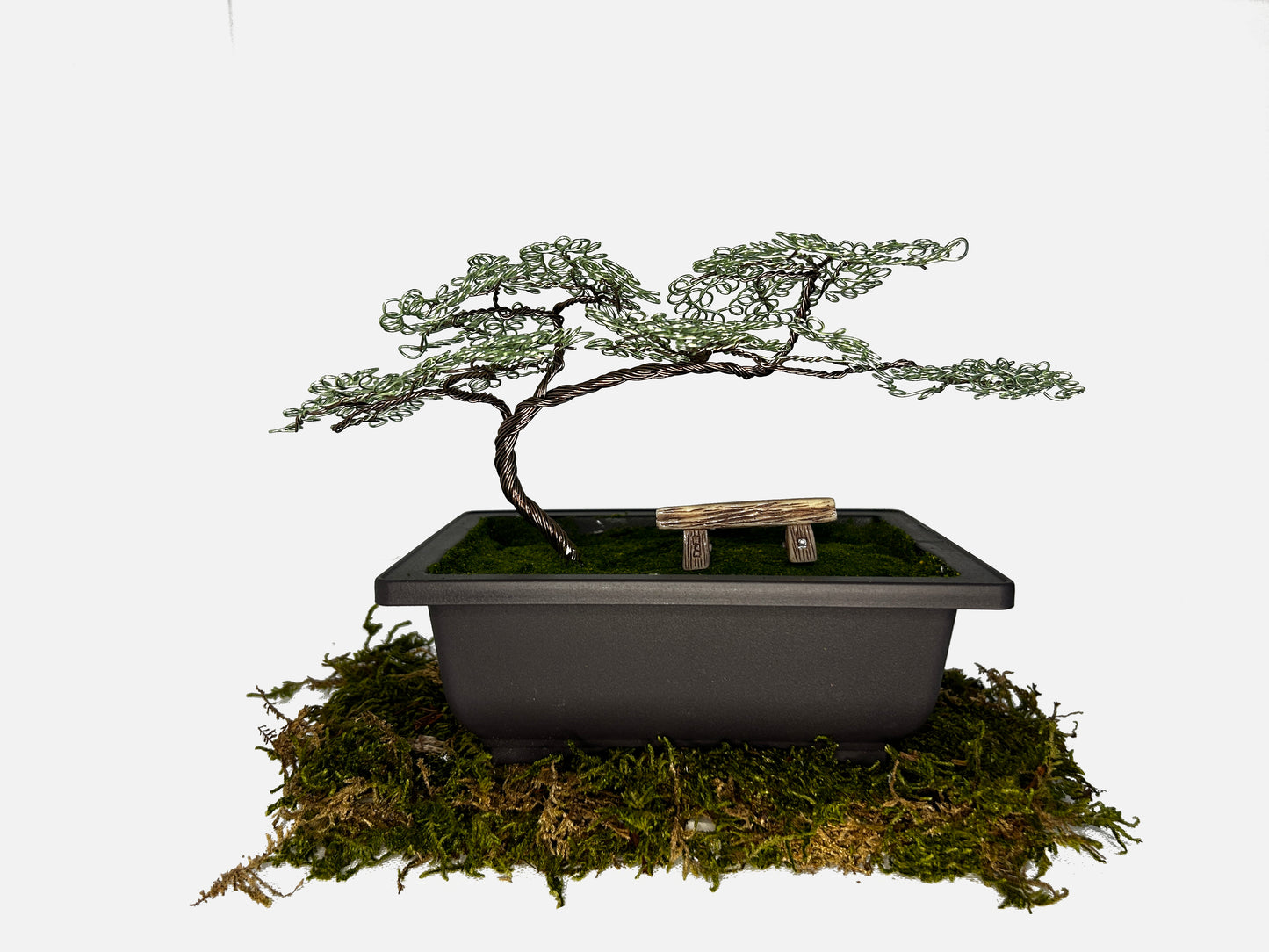 Canopy Bonsai With Bench