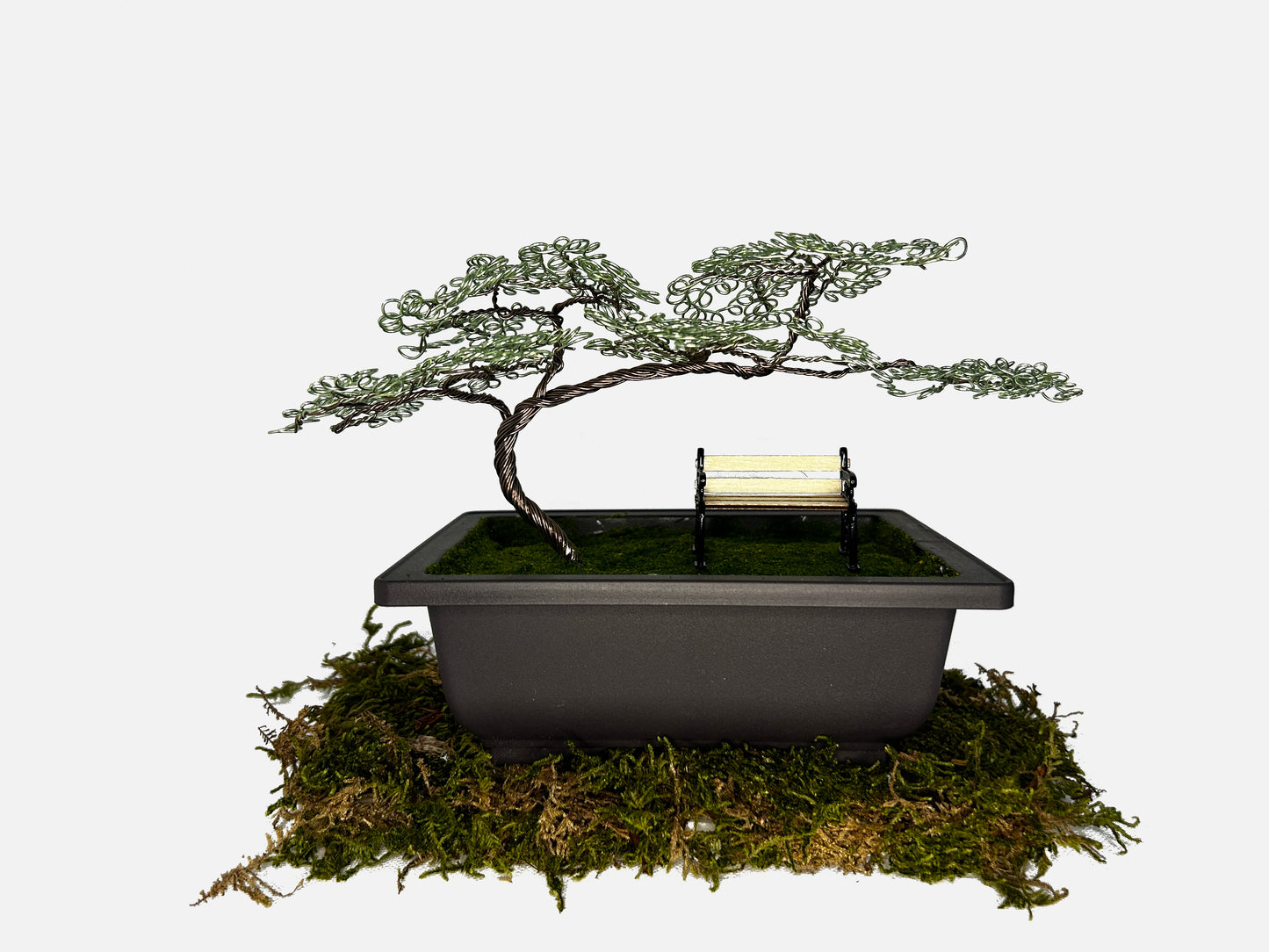 Canopy Bonsai With Bench