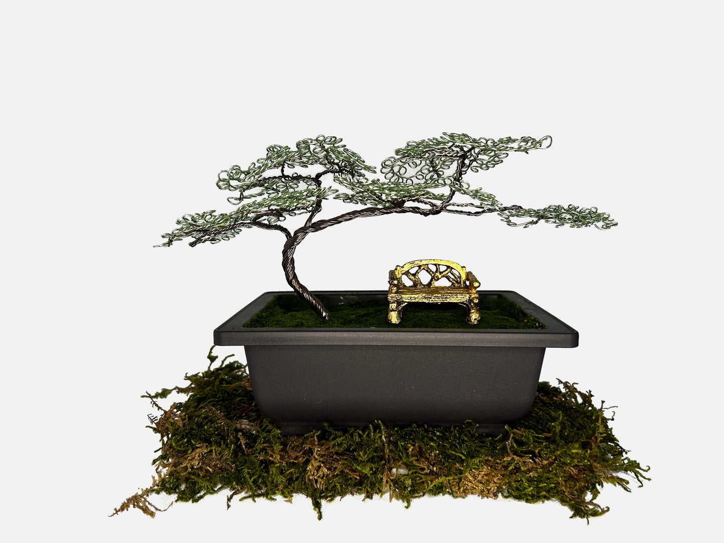 Canopy Bonsai With Bench