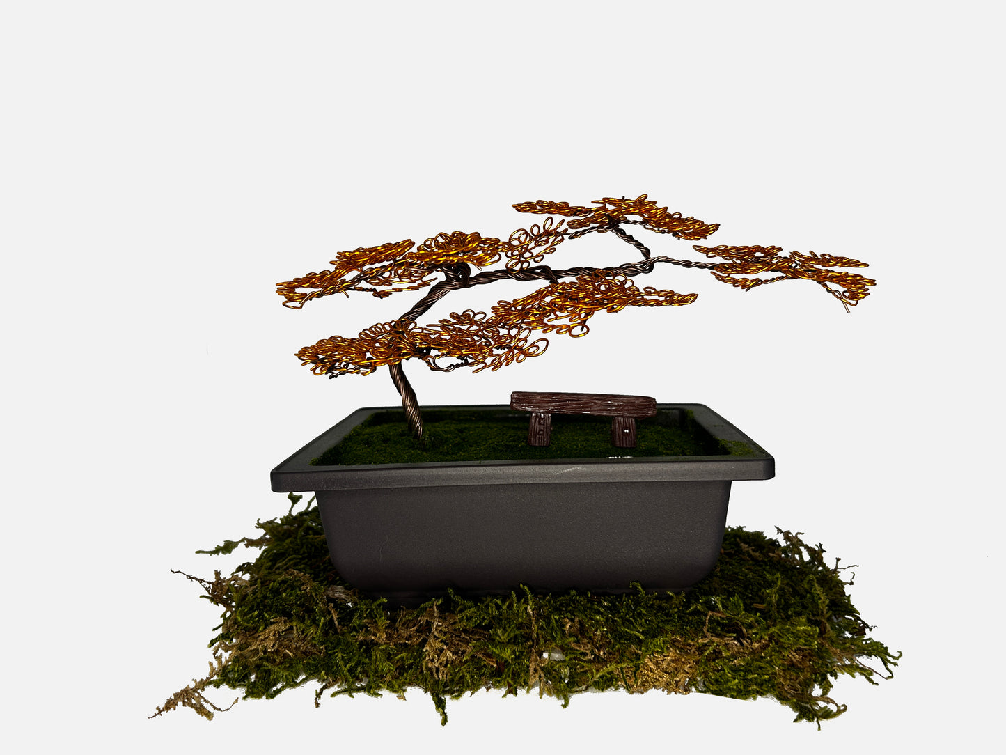 Canopy Bonsai With Bench
