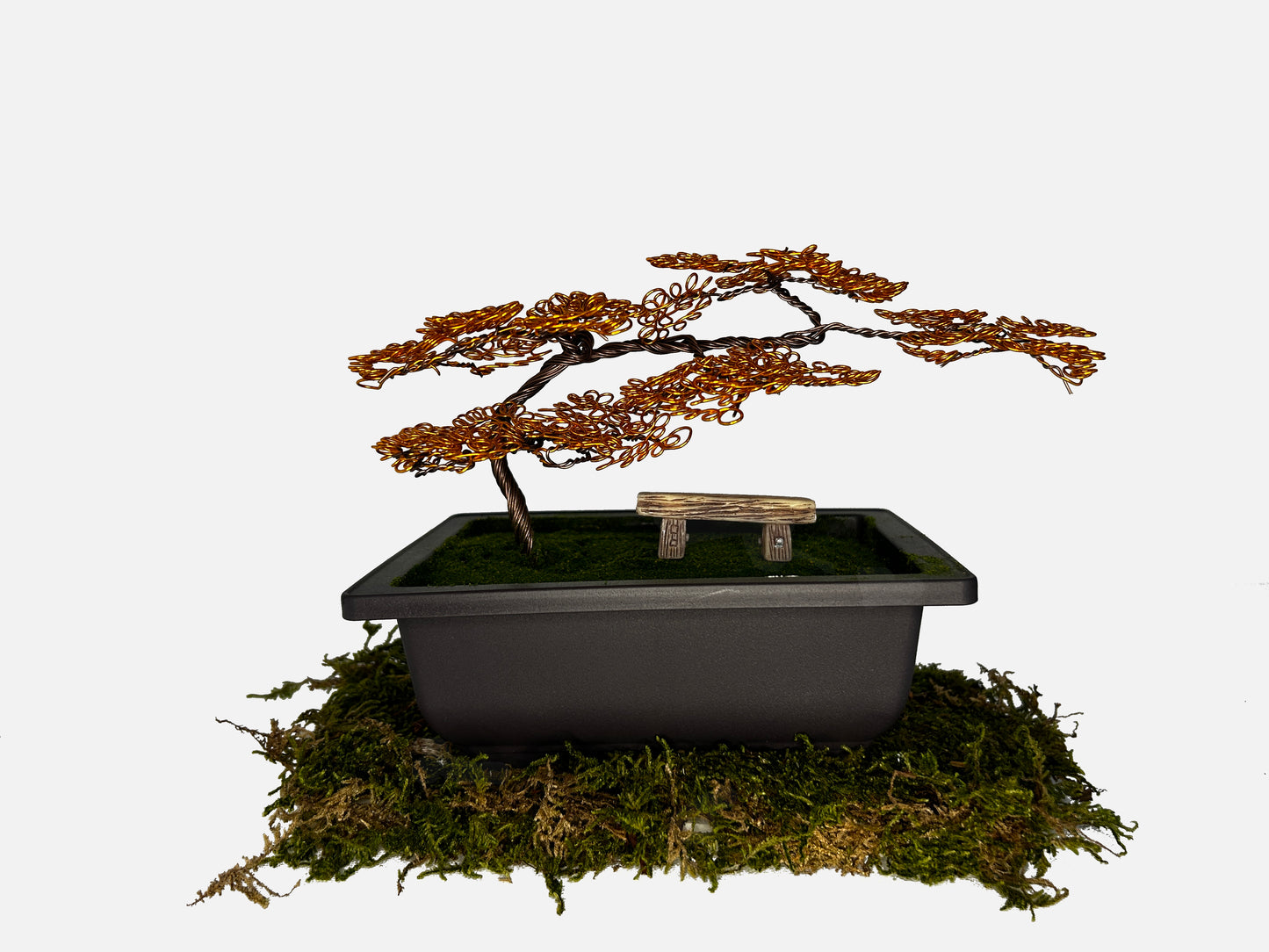Canopy Bonsai With Bench