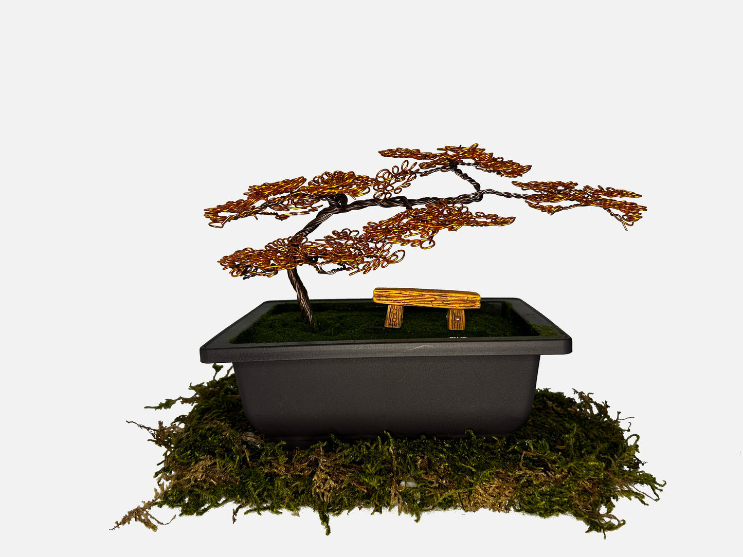 Canopy Bonsai With Bench