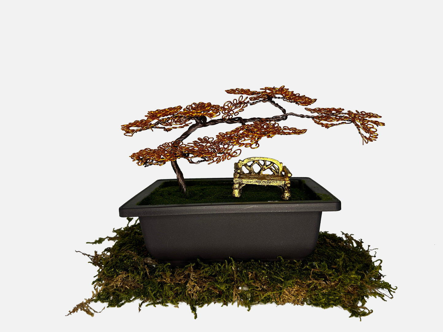 Canopy Bonsai With Bench