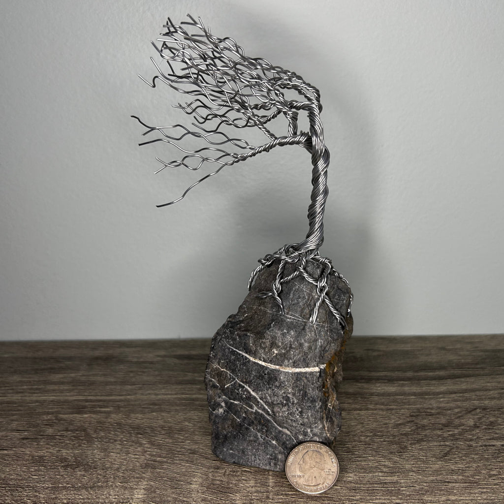 Wind Blown Tree - Silver on Rock