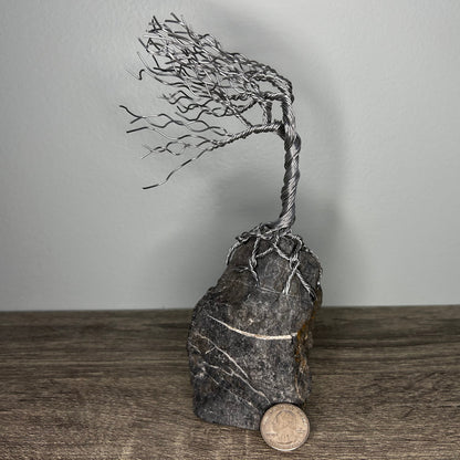 Wind Blown Tree - Silver on Rock