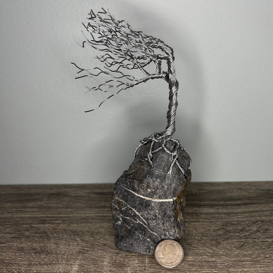 Wind Blown Tree - Silver on Rock