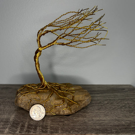 Wind Blown Tree - Gold on Rock