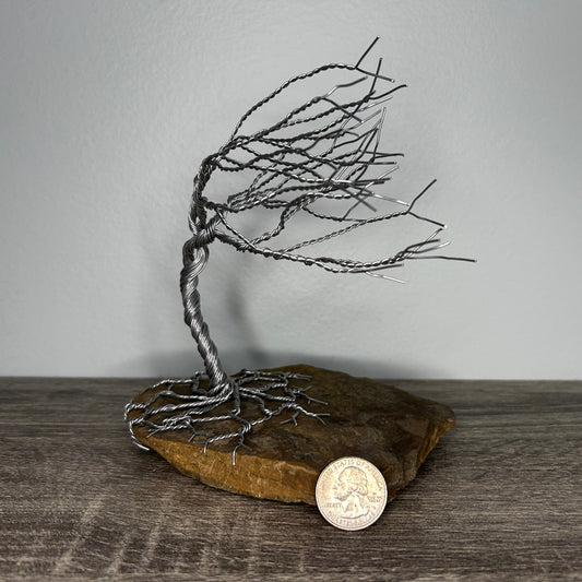 Wind Blown Tree - Silver on Rock