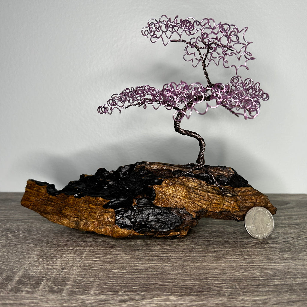 Small Pink Bonsai on Driftwood