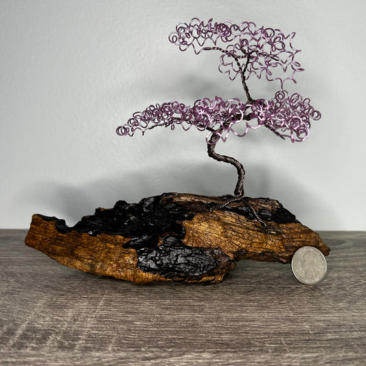 Small Pink Bonsai on Driftwood