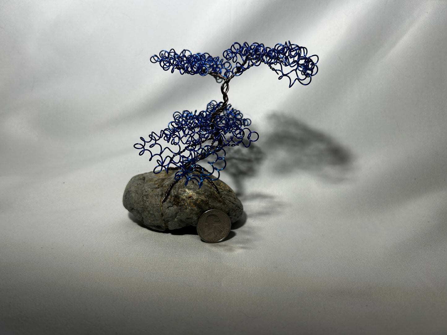 Small Blue Bonsai on Rock