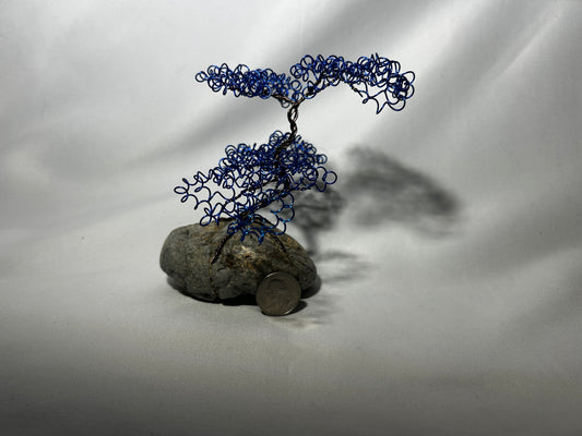 Small Blue Bonsai on Rock