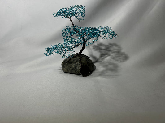 Small Baby Blue Bonsai on Rock