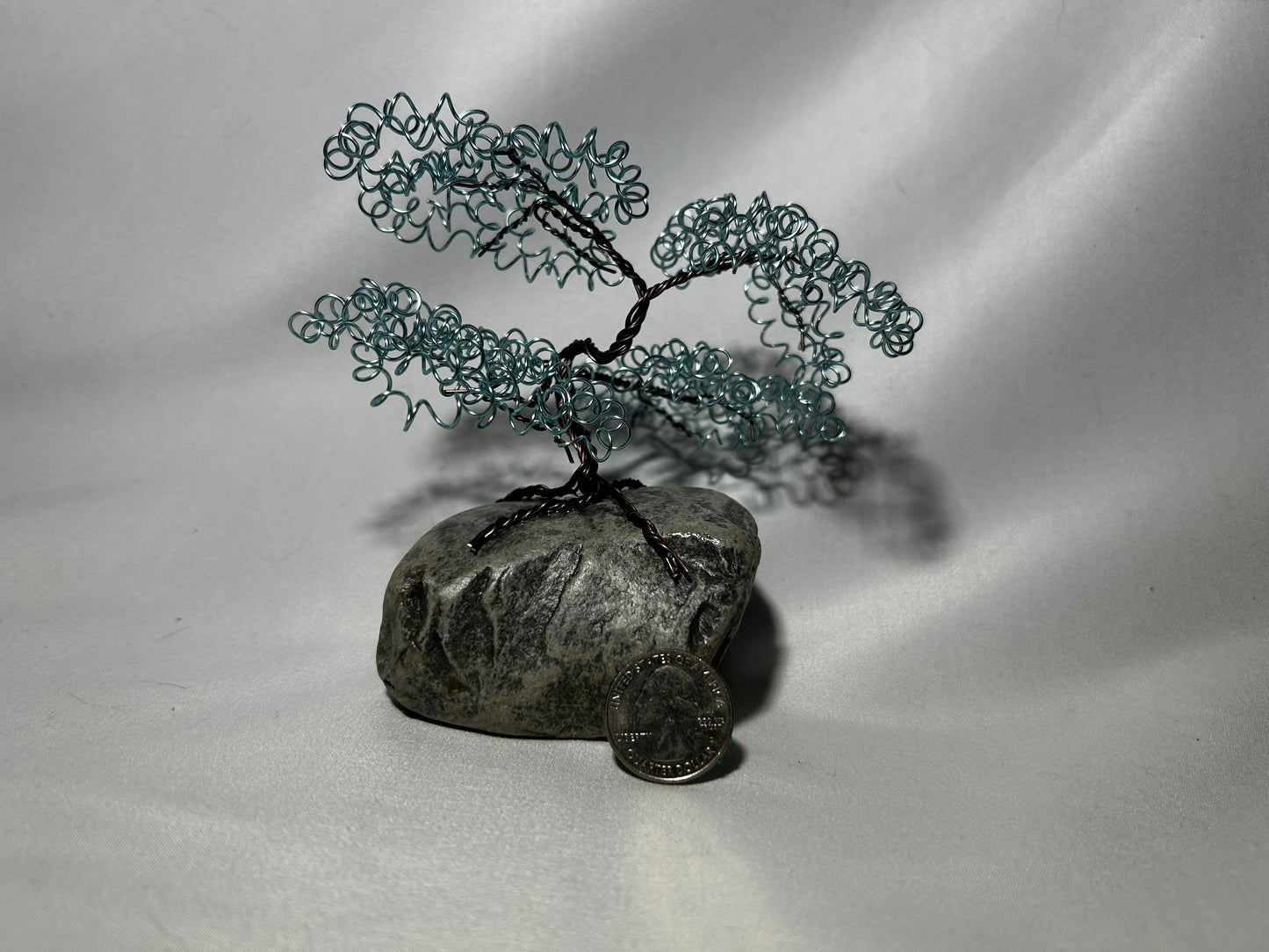 Small Light Blue Bonsai on Rock