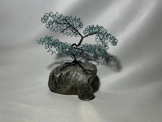 Small Light Blue Bonsai on Rock