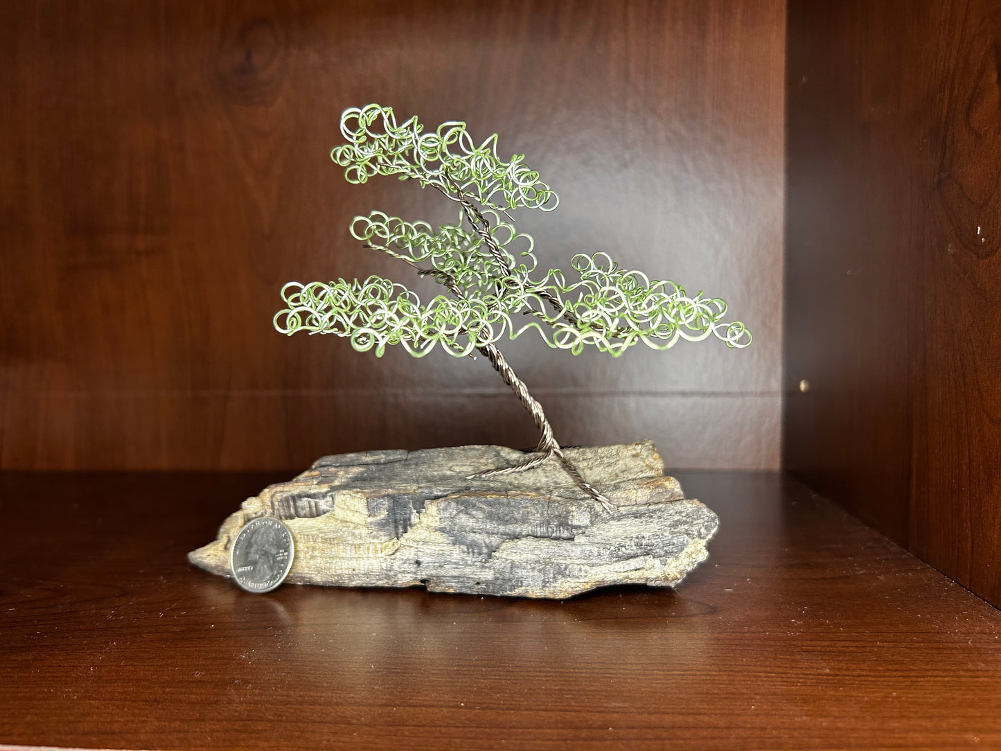 Small Light Green Bonsai on Driftwood
