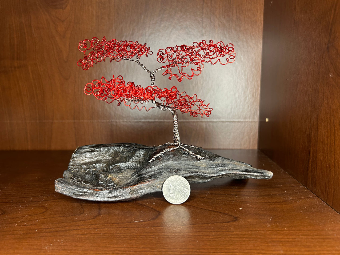 Small Green Bonsai on Driftwood