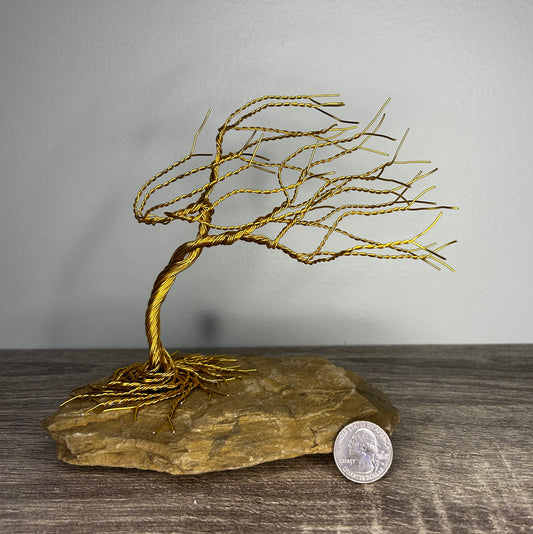 Wind Blown Tree - Gold on Rock