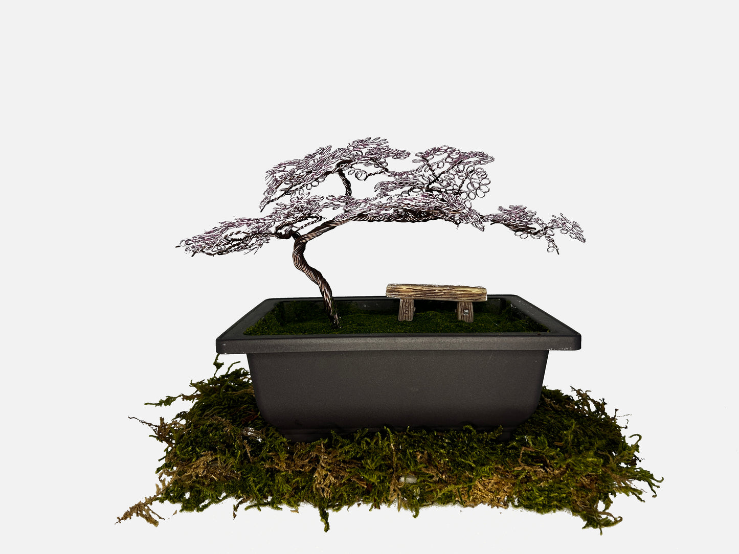 Canopy Bonsai With Bench
