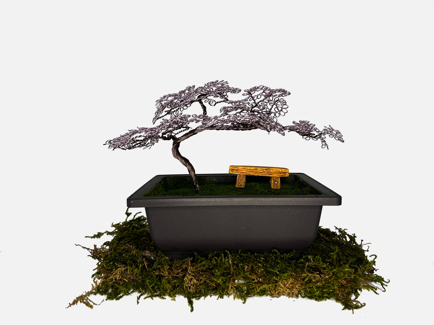 Canopy Bonsai With Bench