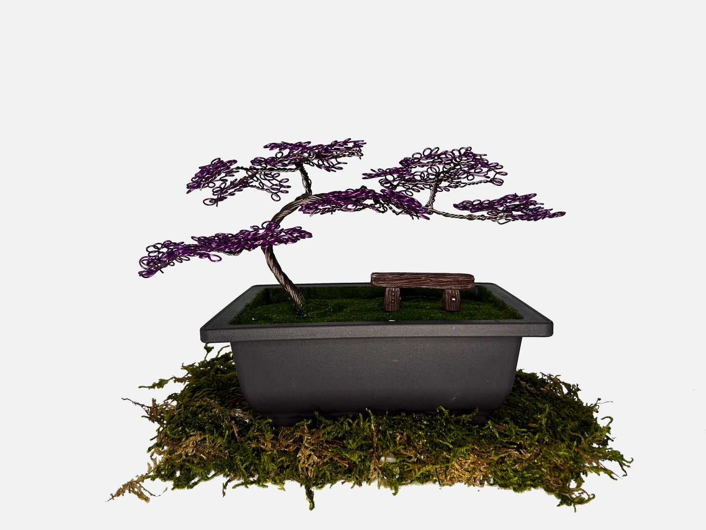 Canopy Bonsai With Bench