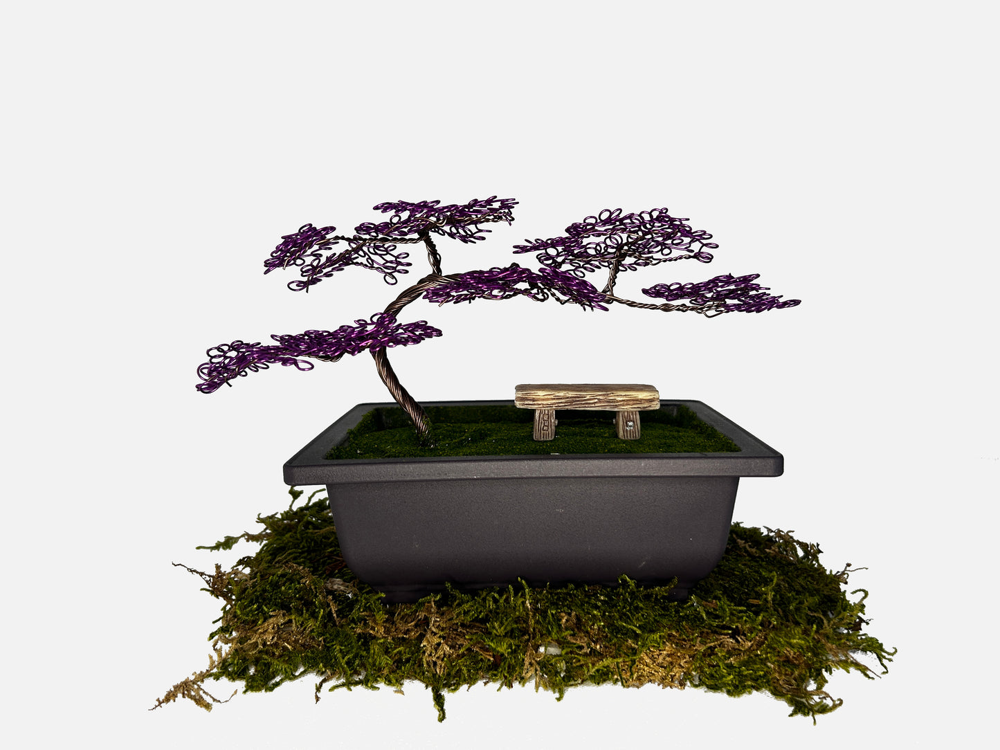 Canopy Bonsai With Bench