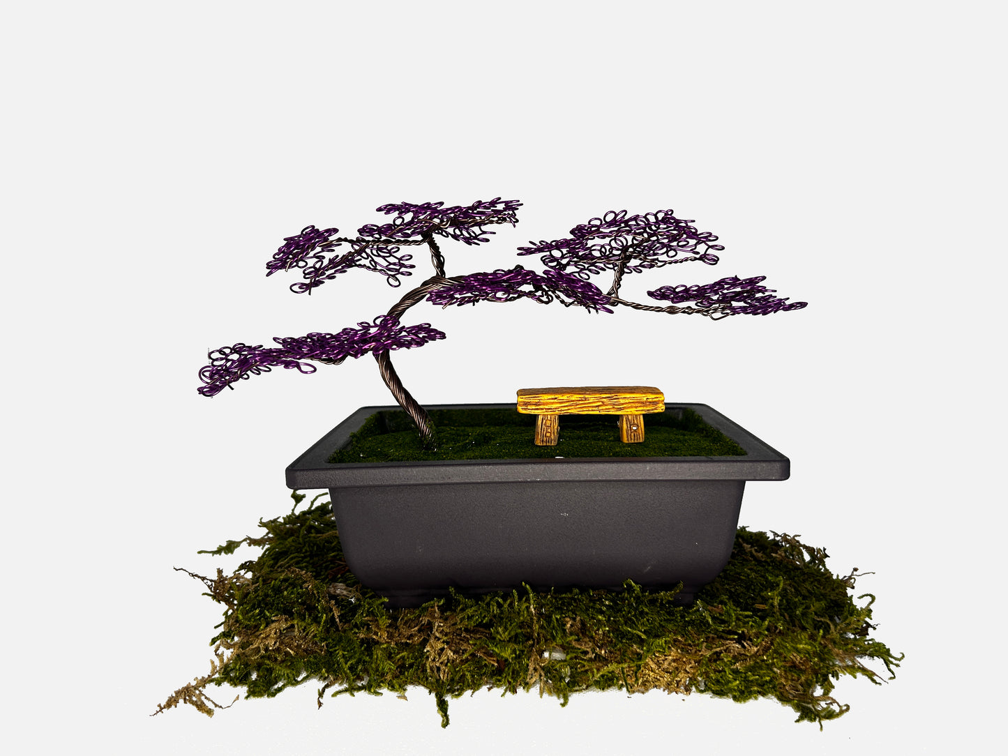 Canopy Bonsai With Bench
