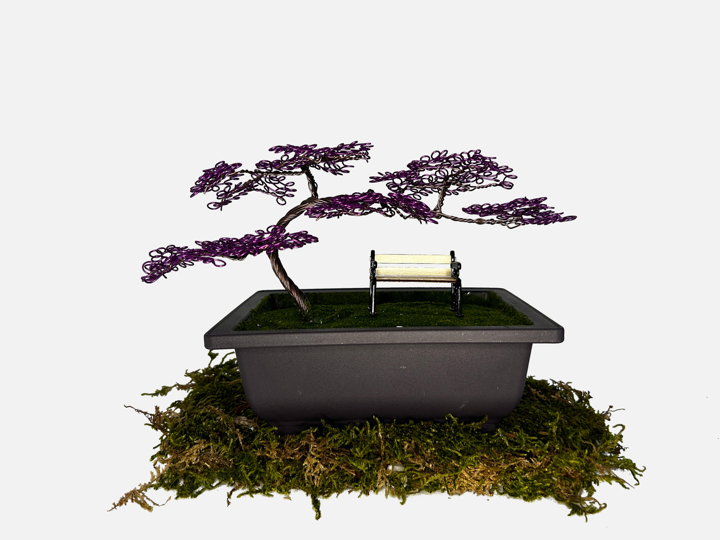 Canopy Bonsai With Bench