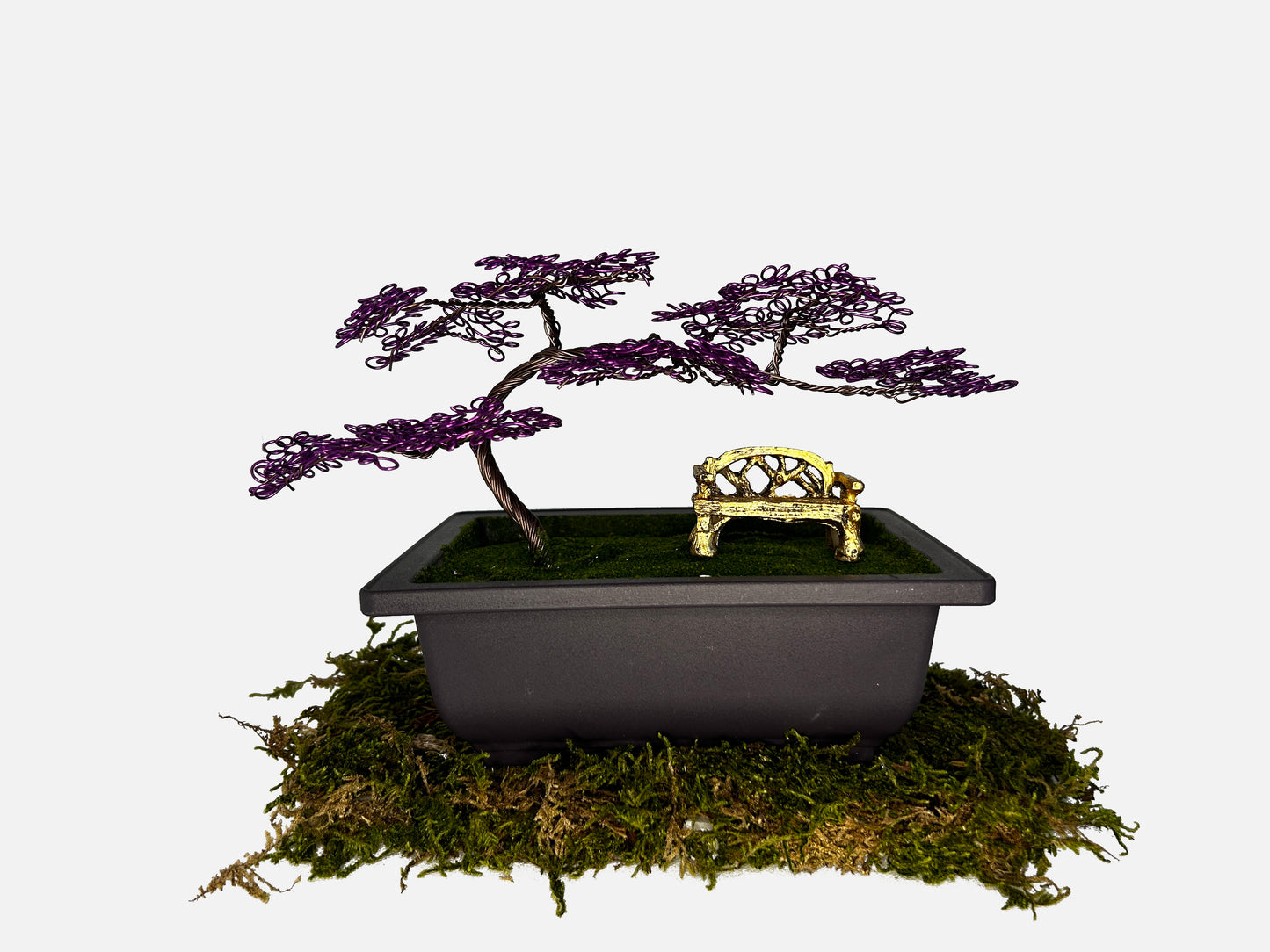 Canopy Bonsai With Bench