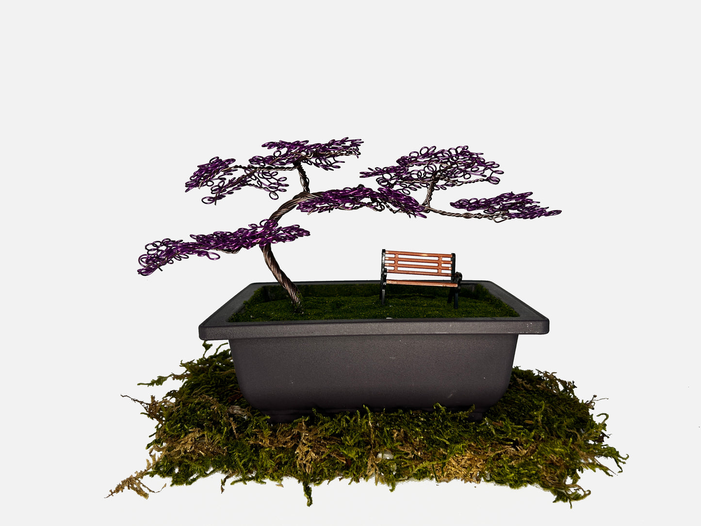 Canopy Bonsai With Bench