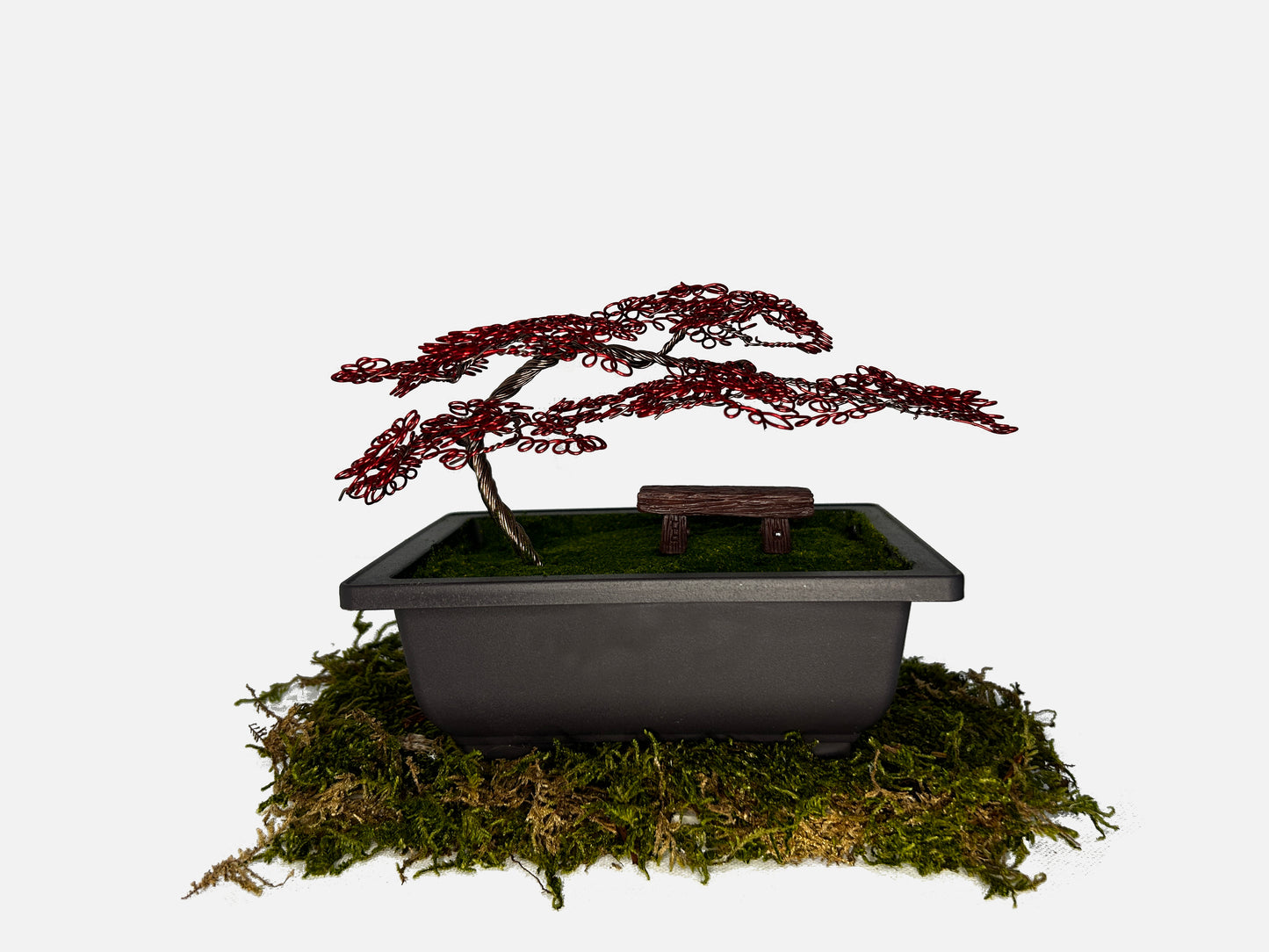 Canopy Bonsai With Bench