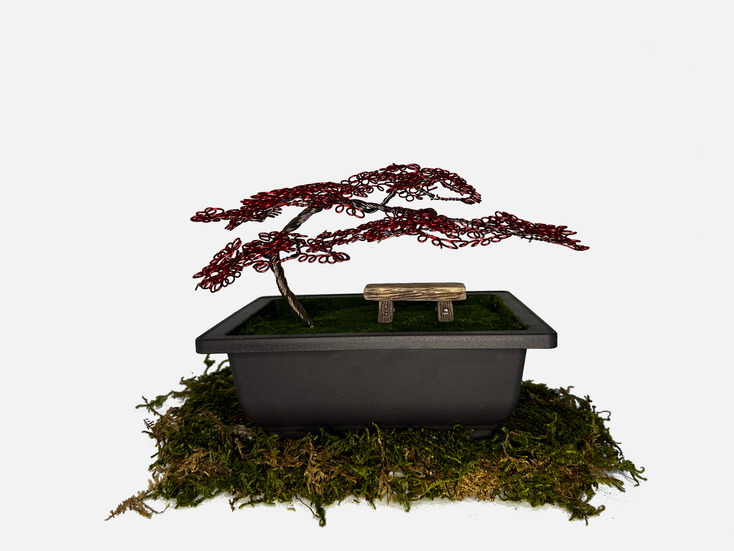 Canopy Bonsai With Bench