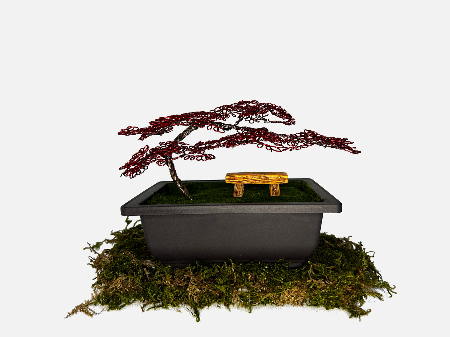 Canopy Bonsai With Bench