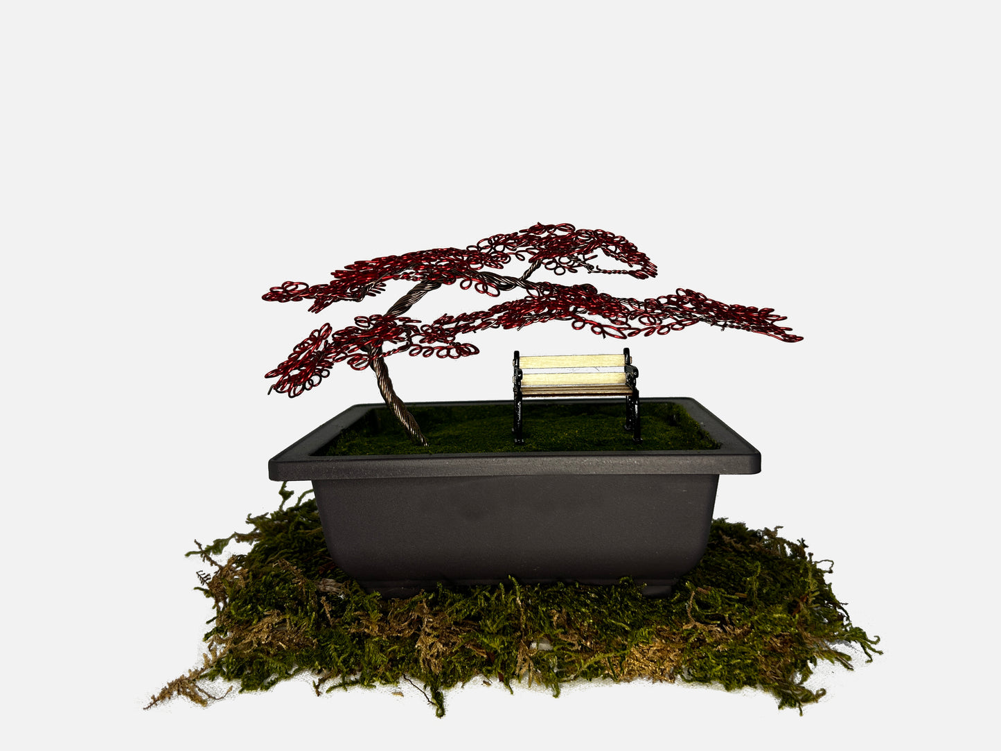 Canopy Bonsai With Bench