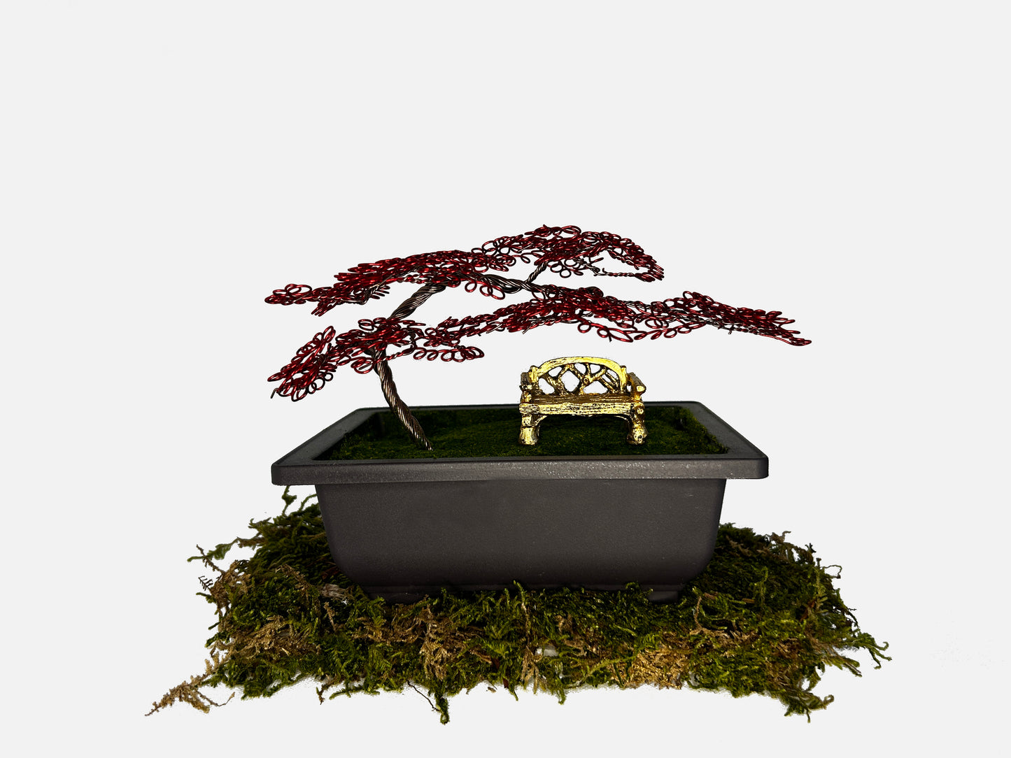Canopy Bonsai With Bench