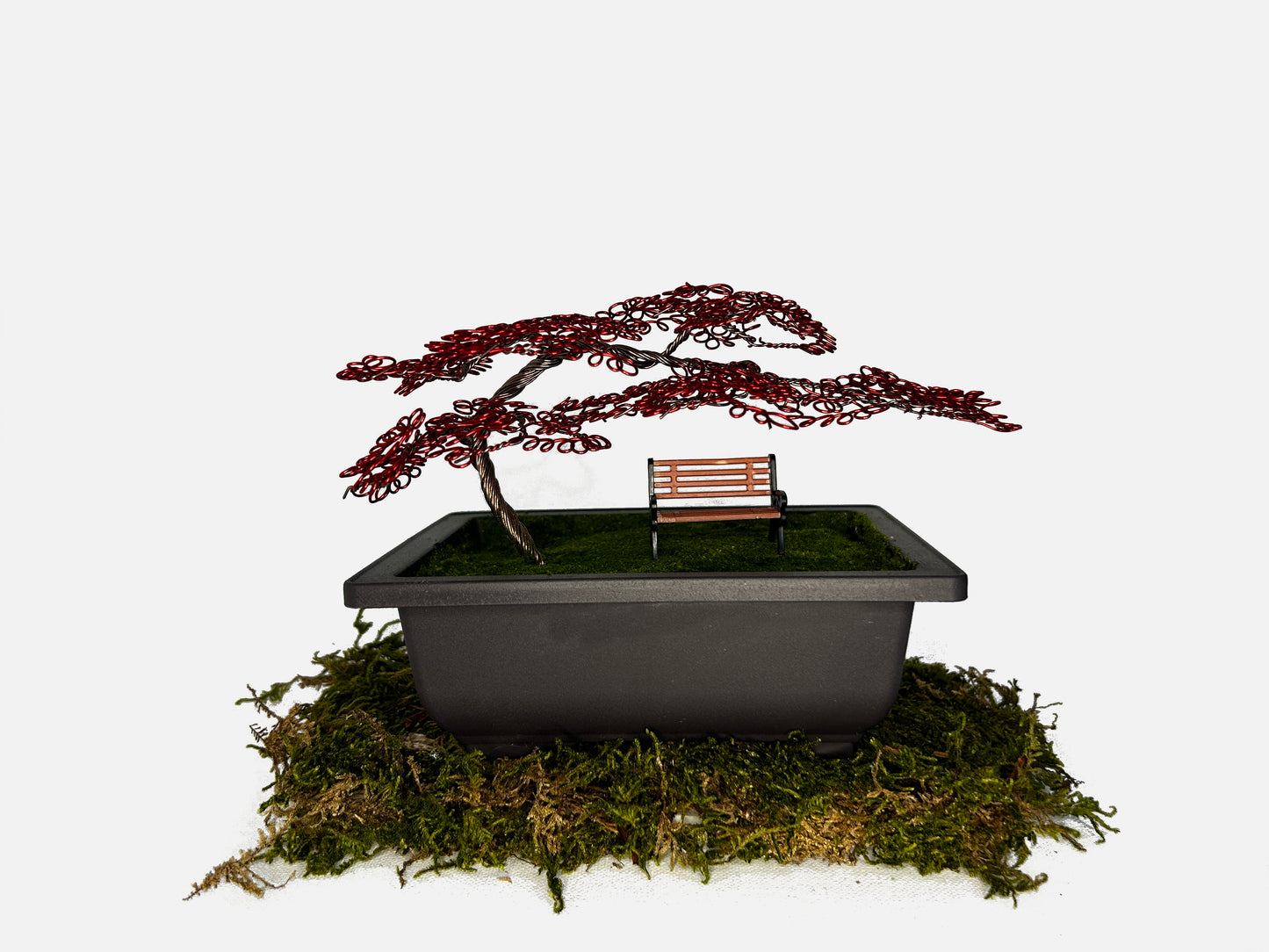 Canopy Bonsai With Bench